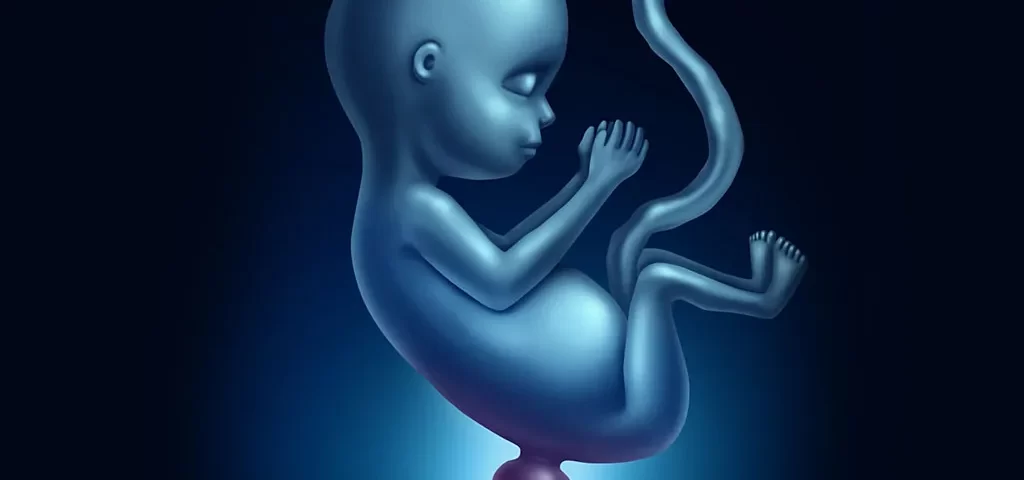 اختلالات لوله عصبی یا NTDs