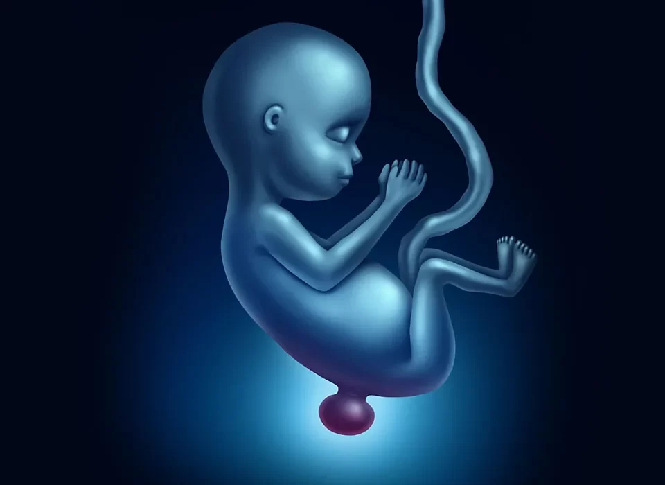 اختلالات لوله عصبی یا NTDs