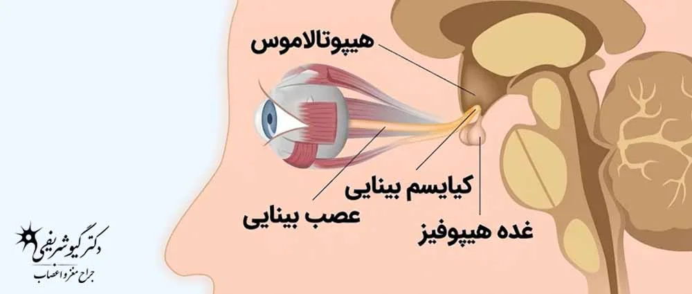 بینایی