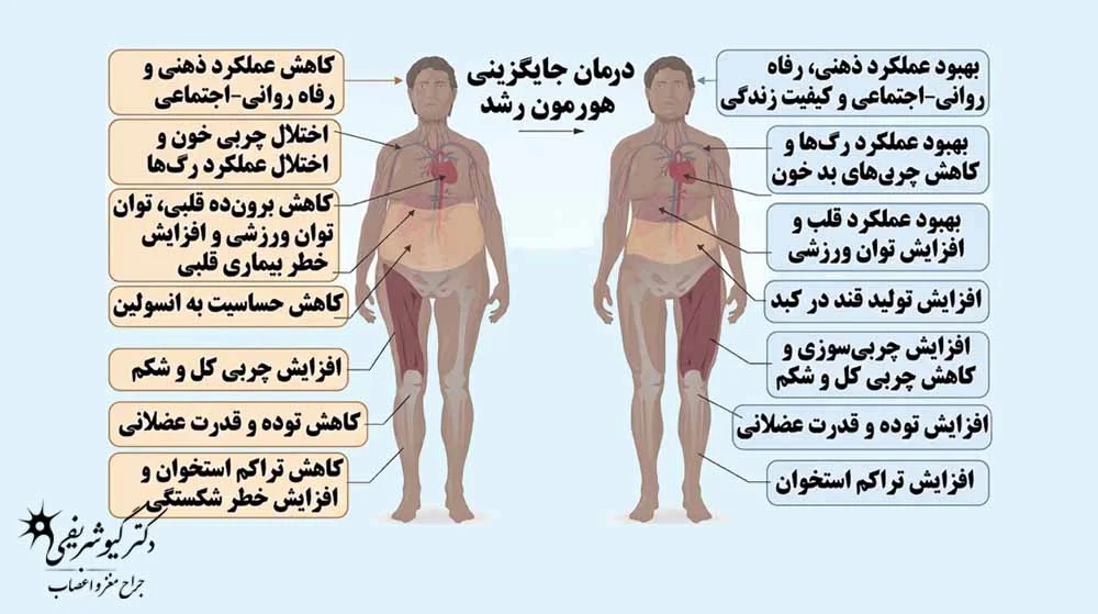 تغییر در ترکیب بدن