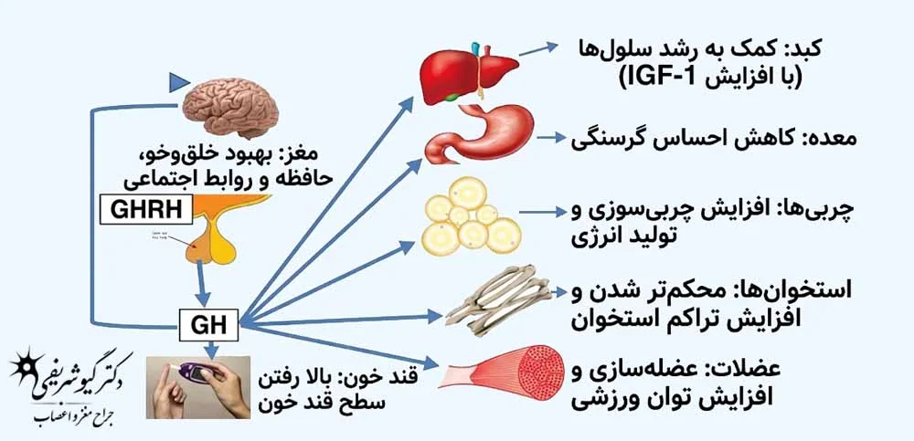 کمبود هورمون رشد