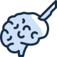 brain (20)