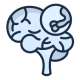 pituitary
