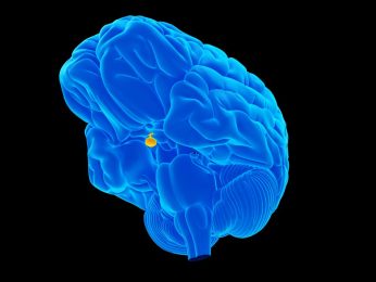 MRI-negative Cushing’s Disease